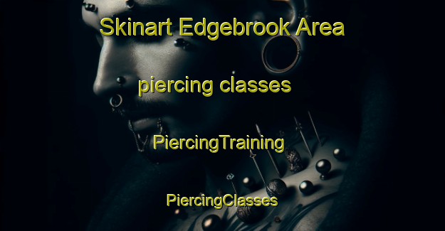 Skinart Edgebrook Area piercing classes | #PiercingTraining #PiercingClasses #SkinartTraining-United States