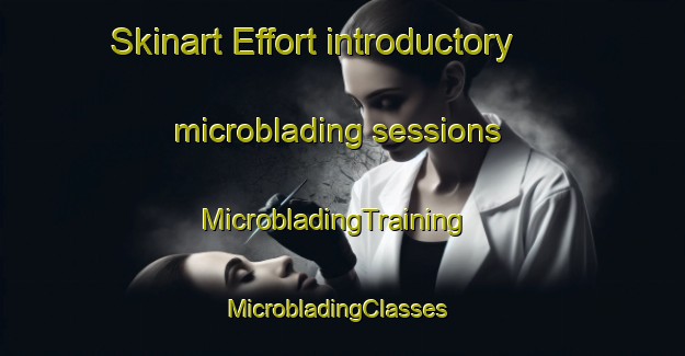 Skinart Effort introductory microblading sessions | MicrobladingTraining | MicrobladingClasses | SkinartTraining-United States