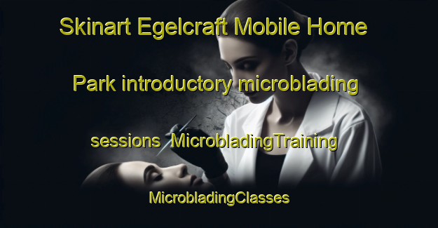 Skinart Egelcraft Mobile Home Park introductory microblading sessions | #MicrobladingTraining #MicrobladingClasses #SkinartTraining-United States