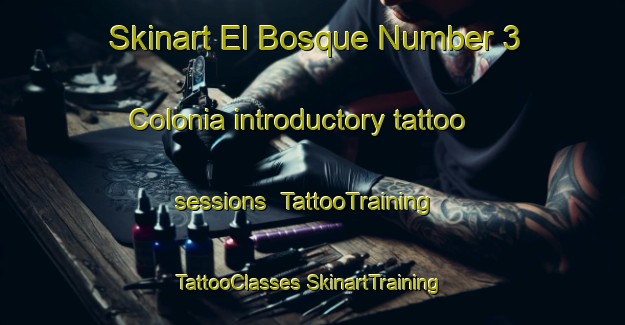 Skinart El Bosque Number 3 Colonia introductory tattoo sessions | #TattooTraining #TattooClasses #SkinartTraining-United States