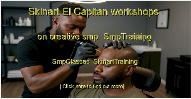 Skinart El Capitan workshops on creative smp | SmpTraining | SmpClasses | SkinartTraining-United States