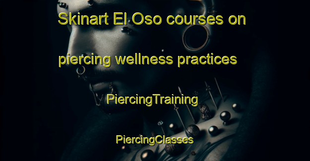 Skinart El Oso courses on piercing wellness practices | #PiercingTraining #PiercingClasses #SkinartTraining-United States