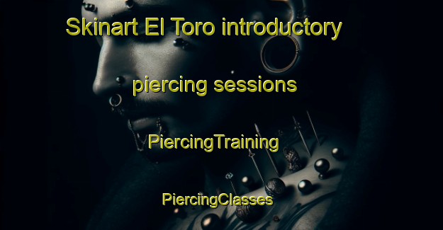 Skinart El Toro introductory piercing sessions | PiercingTraining | PiercingClasses | SkinartTraining-United States