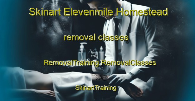 Skinart Elevenmile Homestead removal classes | #RemovalTraining #RemovalClasses #SkinartTraining-United States