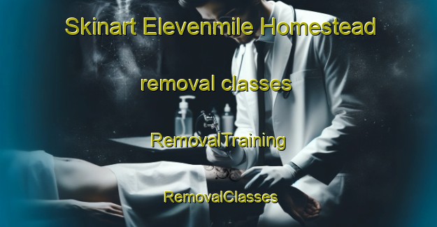 Skinart Elevenmile Homestead removal classes | RemovalTraining | RemovalClasses | SkinartTraining-United States