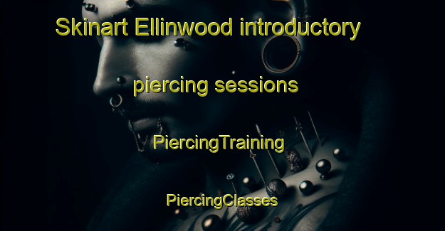 Skinart Ellinwood introductory piercing sessions | #PiercingTraining #PiercingClasses #SkinartTraining-United States