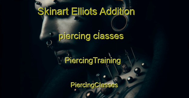 Skinart Elliots Addition piercing classes | #PiercingTraining #PiercingClasses #SkinartTraining-United States