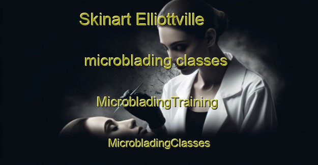 Skinart Elliottville microblading classes | #MicrobladingTraining #MicrobladingClasses #SkinartTraining-United States