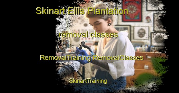 Skinart Ellis Plantation removal classes | #RemovalTraining #RemovalClasses #SkinartTraining-United States