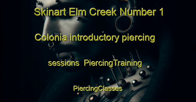 Skinart Elm Creek Number 1 Colonia introductory piercing sessions | #PiercingTraining #PiercingClasses #SkinartTraining-United States