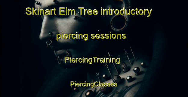 Skinart Elm Tree introductory piercing sessions | #PiercingTraining #PiercingClasses #SkinartTraining-United States