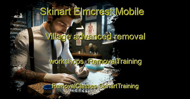 Skinart Elmcrest Mobile Village advanced removal workshops | #RemovalTraining #RemovalClasses #SkinartTraining-United States