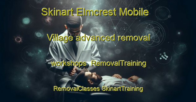 Skinart Elmcrest Mobile Village advanced removal workshops | #RemovalTraining #RemovalClasses #SkinartTraining-United States