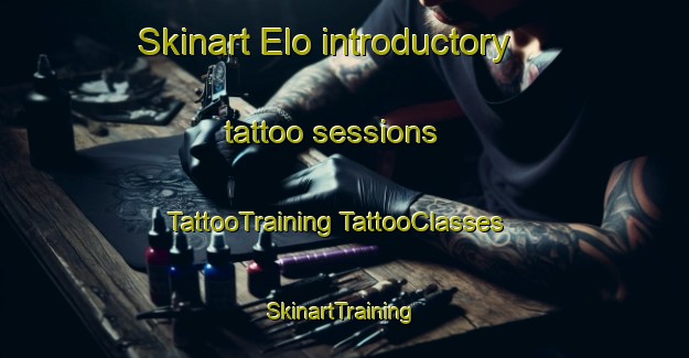 Skinart Elo introductory tattoo sessions | #TattooTraining #TattooClasses #SkinartTraining-United States