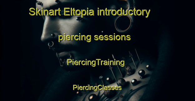 Skinart Eltopia introductory piercing sessions | #PiercingTraining #PiercingClasses #SkinartTraining-United States