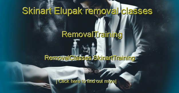 Skinart Elupak removal classes | #RemovalTraining #RemovalClasses #SkinartTraining-United States