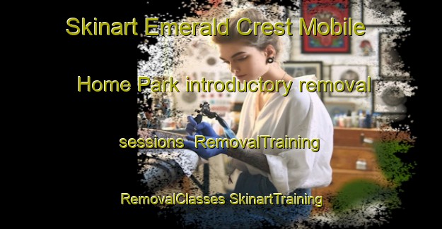 Skinart Emerald Crest Mobile Home Park introductory removal sessions | #RemovalTraining #RemovalClasses #SkinartTraining-United States