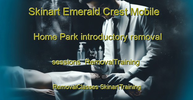 Skinart Emerald Crest Mobile Home Park introductory removal sessions | #RemovalTraining #RemovalClasses #SkinartTraining-United States