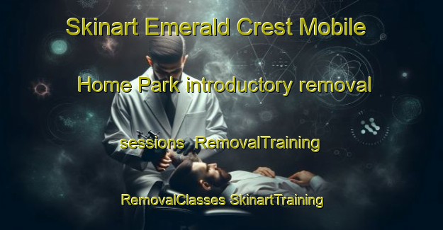 Skinart Emerald Crest Mobile Home Park introductory removal sessions | #RemovalTraining #RemovalClasses #SkinartTraining-United States