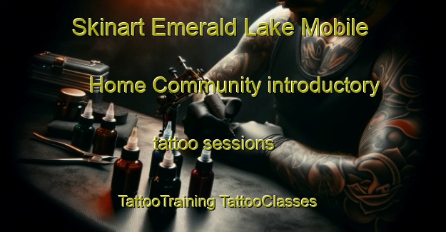 Skinart Emerald Lake Mobile Home Community introductory tattoo sessions | #TattooTraining #TattooClasses #SkinartTraining-United States