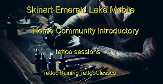 Skinart Emerald Lake Mobile Home Community introductory tattoo sessions | #TattooTraining #TattooClasses #SkinartTraining-United States