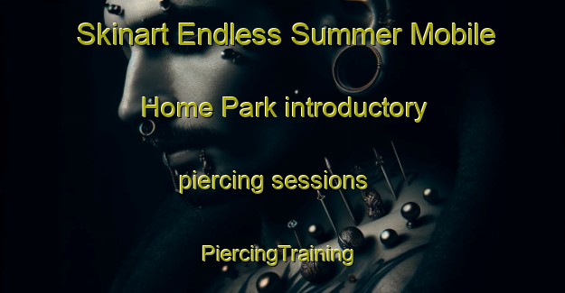 Skinart Endless Summer Mobile Home Park introductory piercing sessions | #PiercingTraining #PiercingClasses #SkinartTraining-United States