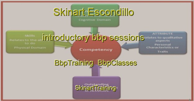 Skinart Escondillo introductory bbp sessions | BbpTraining | BbpClasses | SkinartTraining-United States