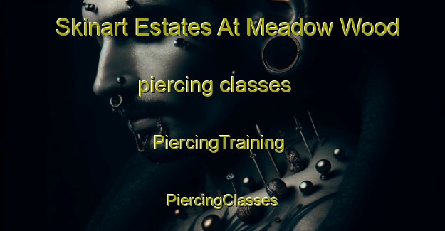 Skinart Estates At Meadow Wood piercing classes | #PiercingTraining #PiercingClasses #SkinartTraining-United States