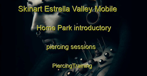 Skinart Estrella Valley Mobile Home Park introductory piercing sessions | #PiercingTraining #PiercingClasses #SkinartTraining-United States