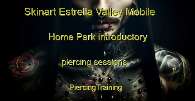 Skinart Estrella Valley Mobile Home Park introductory piercing sessions | #PiercingTraining #PiercingClasses #SkinartTraining-United States