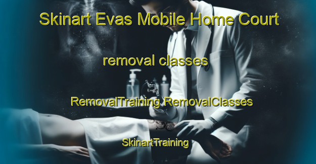 Skinart Evas Mobile Home Court removal classes | #RemovalTraining #RemovalClasses #SkinartTraining-United States