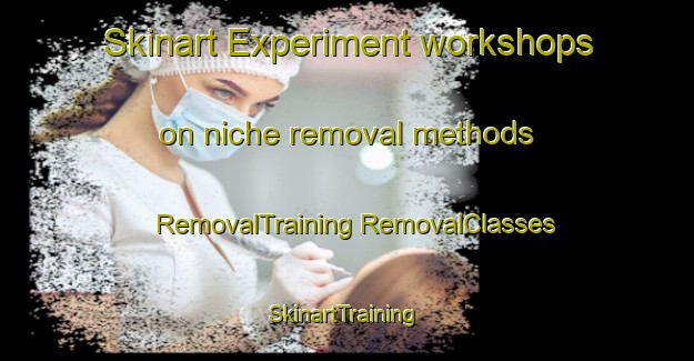 Skinart Experiment workshops on niche removal methods | #RemovalTraining #RemovalClasses #SkinartTraining-United States