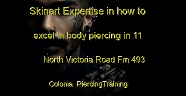 Skinart Expertise in how to excel in body piercing in 11 North Victoria Road Fm 493 Colonia | PiercingTraining | PiercingClasses | SkinartTraining-United States