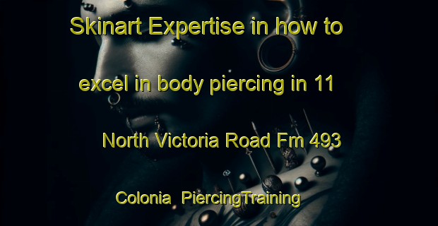 Skinart Expertise in how to excel in body piercing in 11 North Victoria Road Fm 493 Colonia | PiercingTraining | PiercingClasses | SkinartTraining-United States