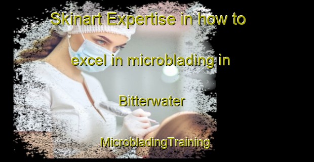 Skinart Expertise in how to excel in microblading in Bitterwater | #MicrobladingTraining #MicrobladingClasses #SkinartTraining-United States