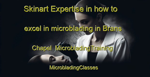 Skinart Expertise in how to excel in microblading in Brans Chapel | MicrobladingTraining | MicrobladingClasses | SkinartTraining-United States