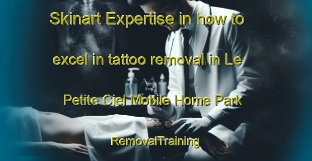 Skinart Expertise in how to excel in tattoo removal in Le Petite Ciel Mobile Home Park | RemovalTraining | RemovalClasses | SkinartTraining-United States