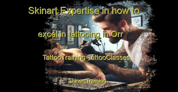 Skinart Expertise in how to excel in tattooing in Orr | #TattooTraining #TattooClasses #SkinartTraining-United States