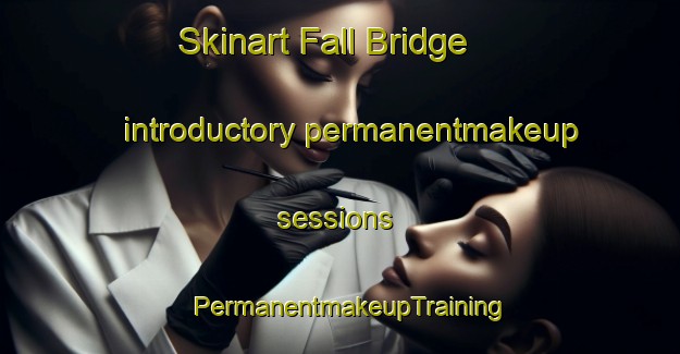 Skinart Fall Bridge introductory permanentmakeup sessions | PermanentmakeupTraining | PermanentmakeupClasses | SkinartTraining-United States