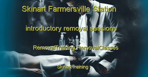 Skinart Farmersville Station introductory removal sessions | #RemovalTraining #RemovalClasses #SkinartTraining-United States