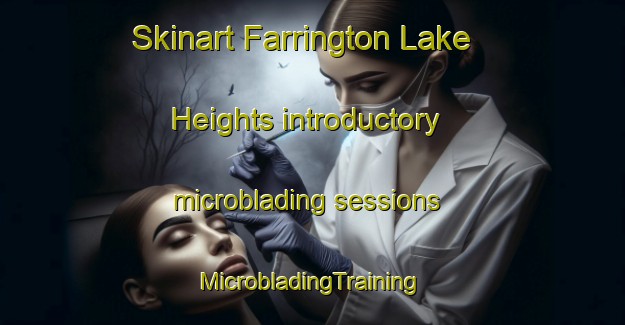 Skinart Farrington Lake Heights introductory microblading sessions | #MicrobladingTraining #MicrobladingClasses #SkinartTraining-United States