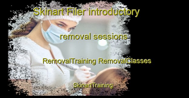 Skinart Filer introductory removal sessions | #RemovalTraining #RemovalClasses #SkinartTraining-United States