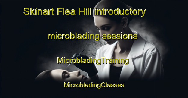 Skinart Flea Hill introductory microblading sessions | #MicrobladingTraining #MicrobladingClasses #SkinartTraining-United States