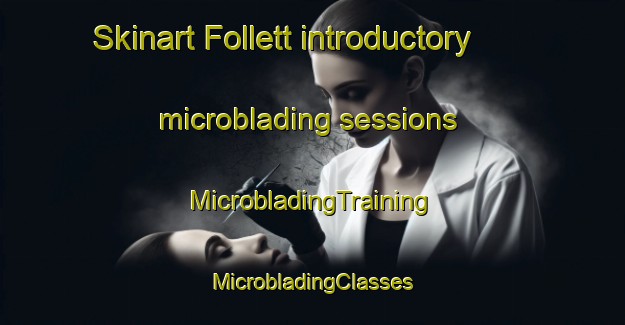 Skinart Follett introductory microblading sessions | #MicrobladingTraining #MicrobladingClasses #SkinartTraining-United States