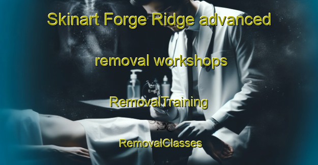 Skinart Forge Ridge advanced removal workshops | RemovalTraining | RemovalClasses | SkinartTraining-United States