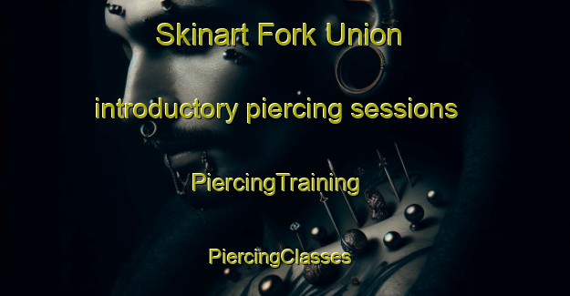 Skinart Fork Union introductory piercing sessions | PiercingTraining | PiercingClasses | SkinartTraining-United States
