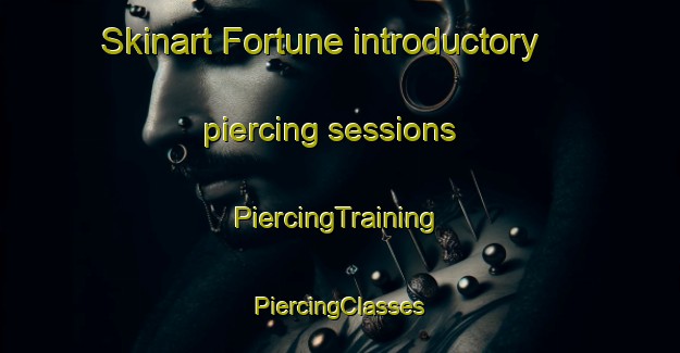 Skinart Fortune introductory piercing sessions | #PiercingTraining #PiercingClasses #SkinartTraining-United States