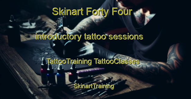 Skinart Forty Four introductory tattoo sessions | #TattooTraining #TattooClasses #SkinartTraining-United States