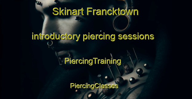 Skinart Francktown introductory piercing sessions | PiercingTraining | PiercingClasses | SkinartTraining-United States