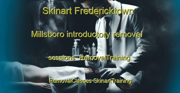 Skinart Fredericktown Millsboro introductory removal sessions | #RemovalTraining #RemovalClasses #SkinartTraining-United States